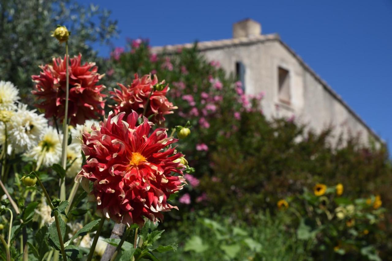 Gite Les Lavandes Vaison-la-Romaine Exterior foto
