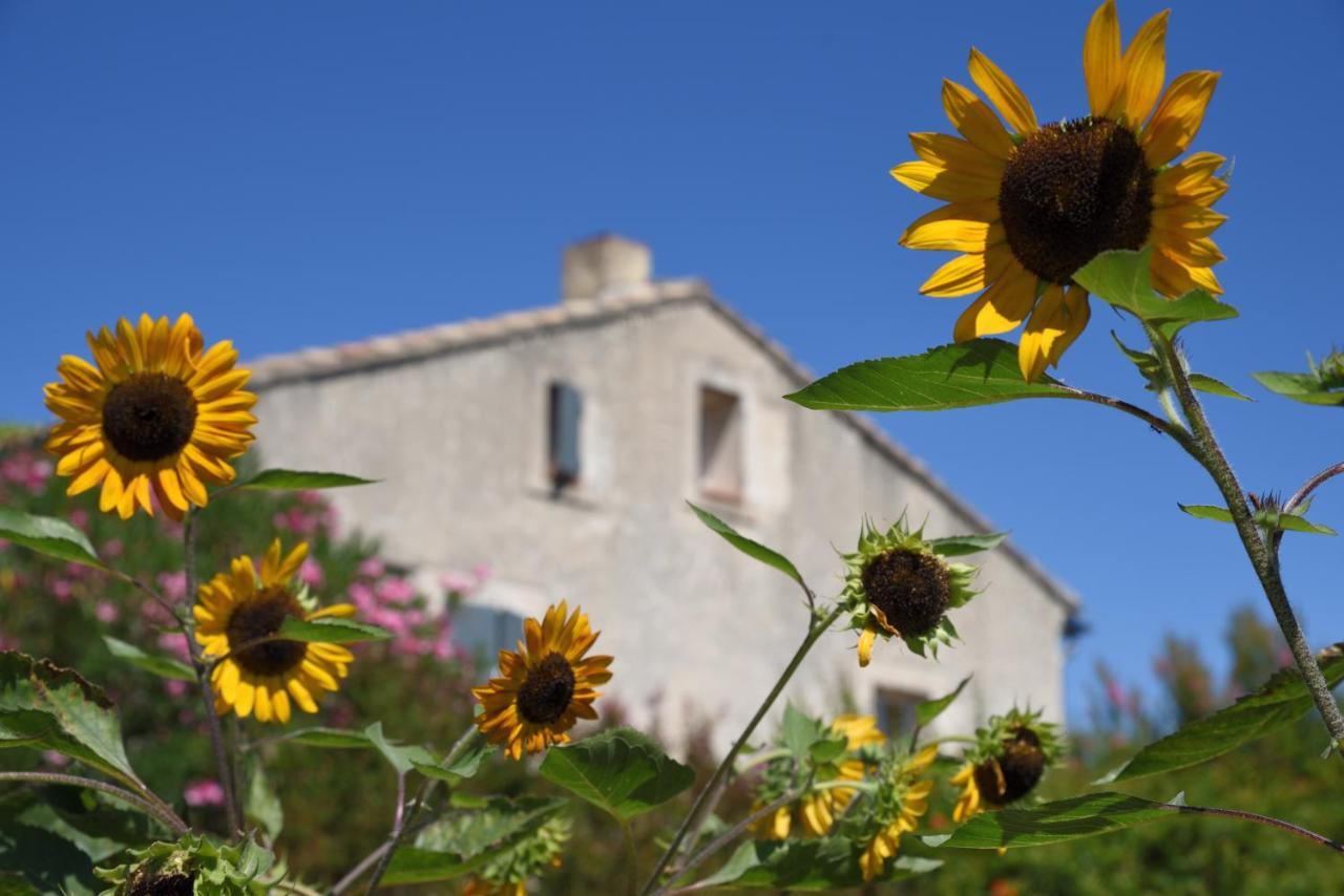 Gite Les Lavandes Vaison-la-Romaine Exterior foto