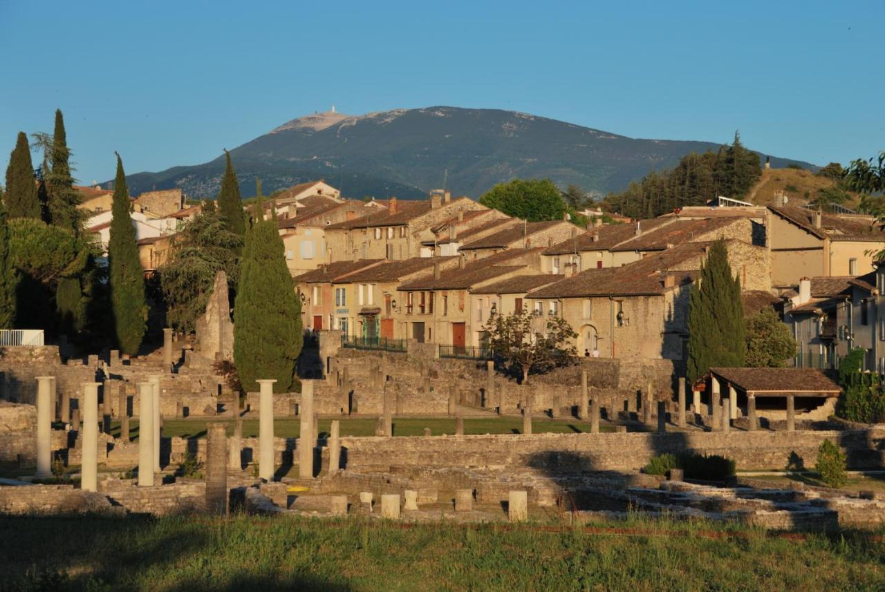 Gite Les Lavandes Vaison-la-Romaine Exterior foto