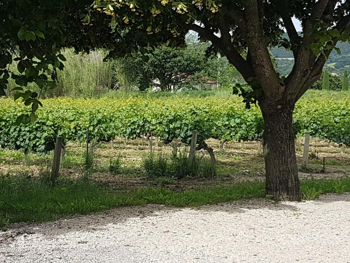 Gite Les Lavandes Vaison-la-Romaine Exterior foto