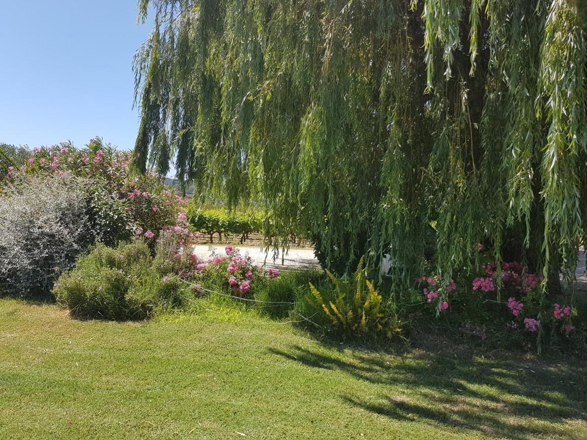 Gite Les Lavandes Vaison-la-Romaine Zimmer foto